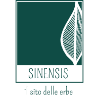Sinensis Logo