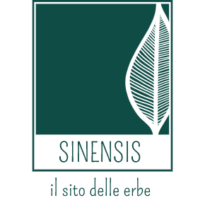 Sinensis Logo